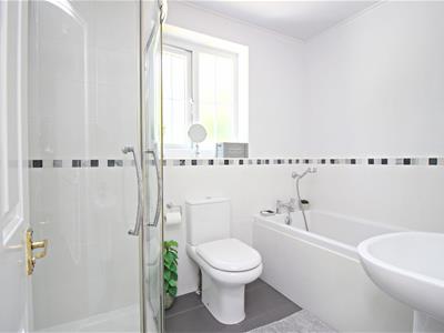 Picture 14